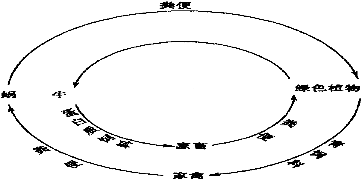 五、經(jīng)濟(jì)意義